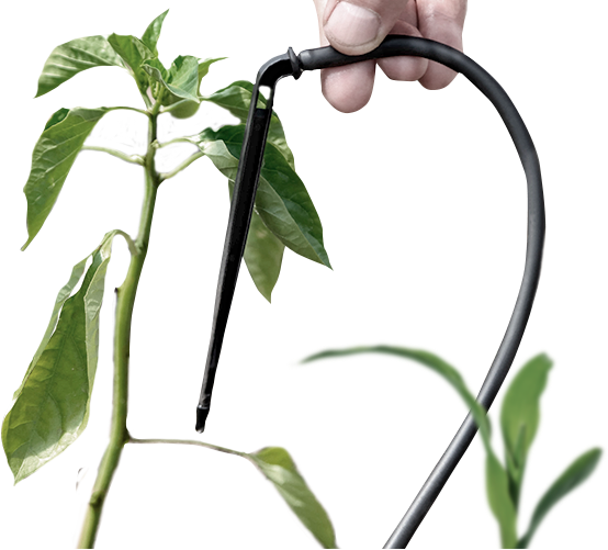 Автоматический полив